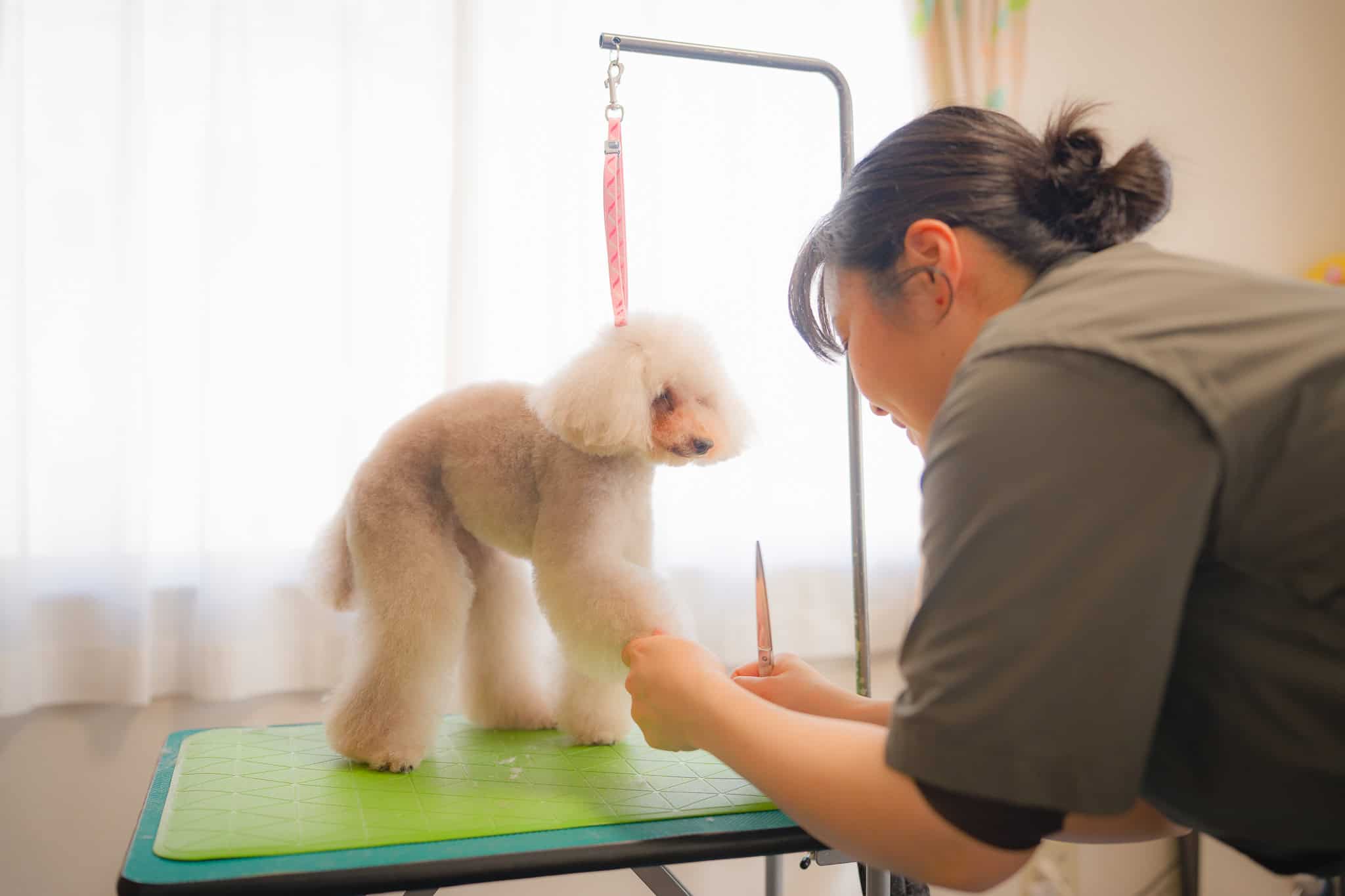 ファーストトリミング